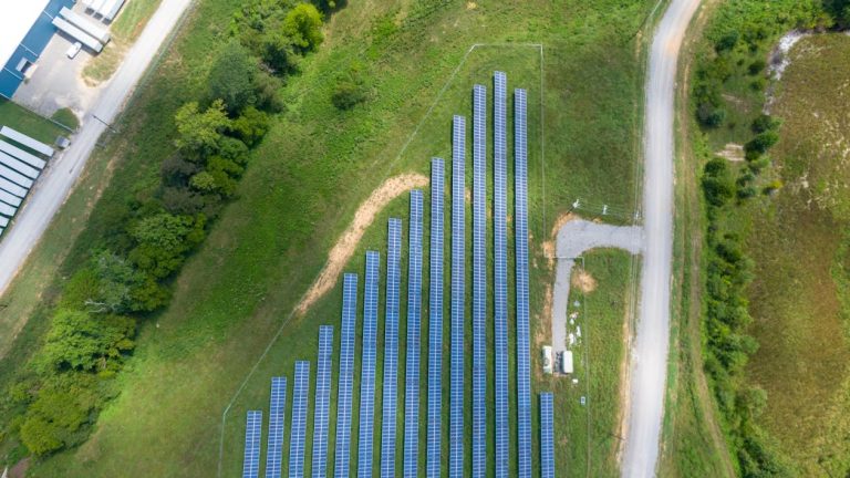 Telêmaco Borba: Como o Sol Se Tornou o Caminho para a Economia e Renda